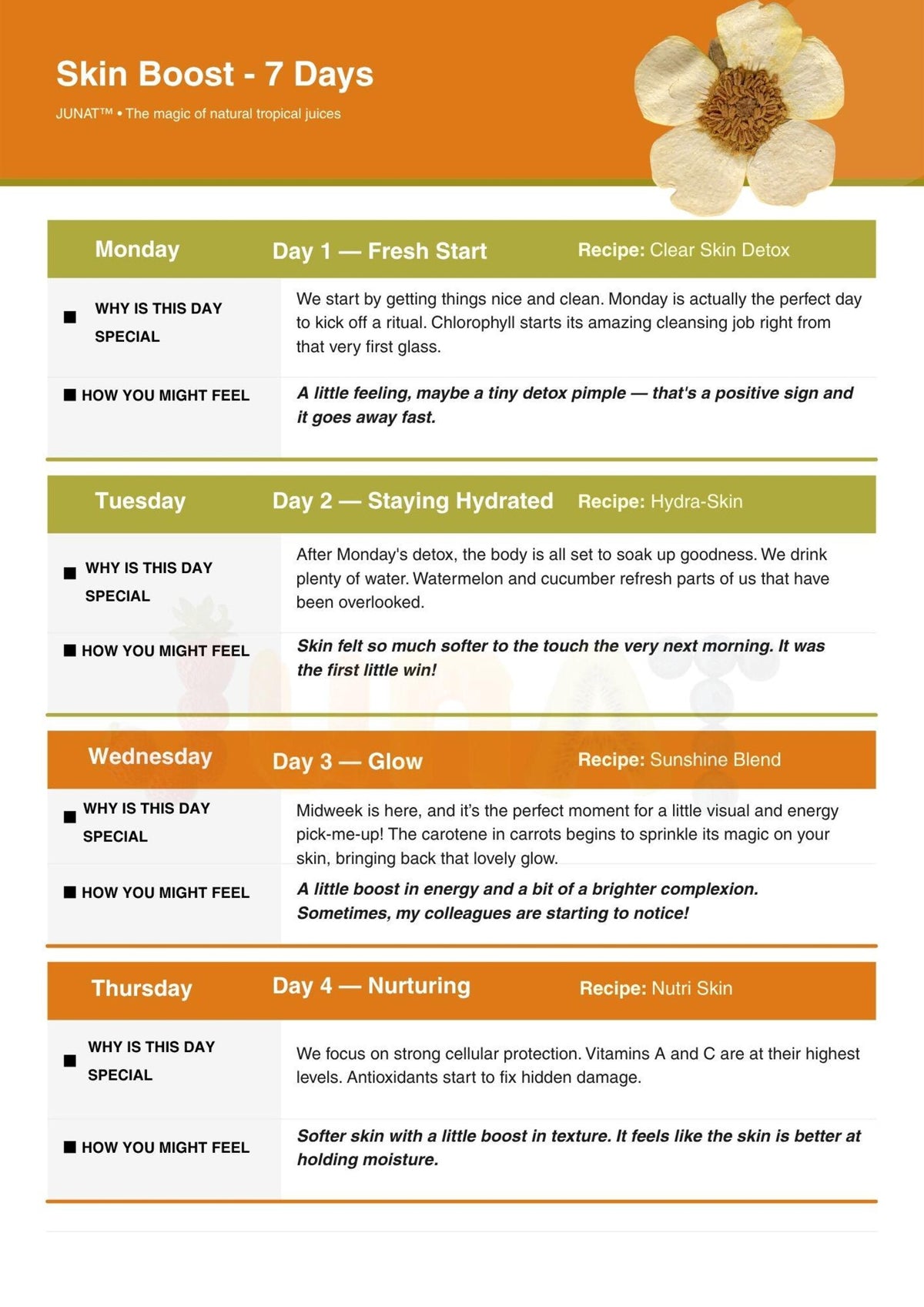 Skin Glow Guide | The 7-Day Skin Reset | PDF
